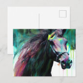 Briefkaart van zwarte paarden (Voorkant / Achterkant)