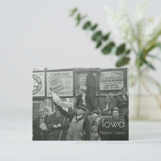 briefkaart veeteelt (Staand voorkant)