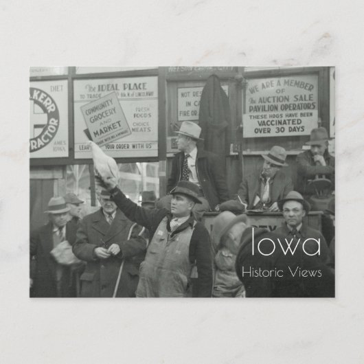 briefkaart veeteelt (Voorkant)