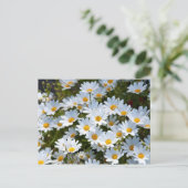 Briefkaart "veld vol madeliefjes" (Staand voorkant)