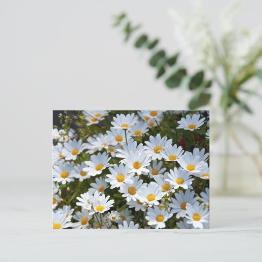 Briefkaart "veld vol madeliefjes" (Staand voorkant)