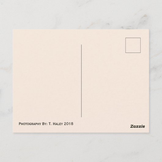 Briefkaart vergeten nummers (Achterkant)