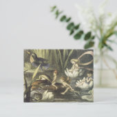 Briefkaart  Verhaal Verhaal Verhaal Verhaal (Staand voorkant)