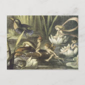 Briefkaart  Verhaal Verhaal Verhaal Verhaal (Voorkant)