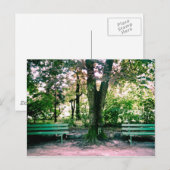 Briefkaart versoepelen (Voorkant / Achterkant)