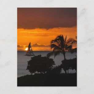 Briefkaart - Verticaal - Hawaiian Sunset