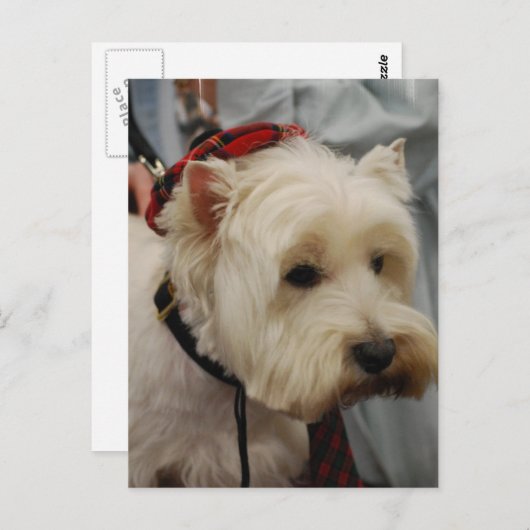 Briefkaart verticale Sjabloon - Gepersonaliseerd (Voorkant / Achterkant)