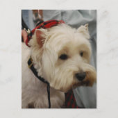 Briefkaart verticale Sjabloon - Gepersonaliseerd (Voorkant)