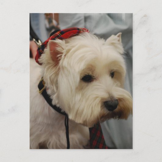 Briefkaart verticale Sjabloon - Gepersonaliseerd (Voorkant)