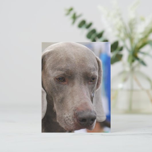 Briefkaart verticale Sjabloon - Gepersonaliseerd (Staand voorkant)