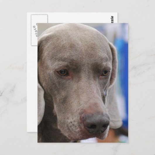 Briefkaart verticale Sjabloon - Gepersonaliseerd (Voorkant / Achterkant)