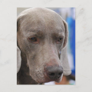 Briefkaart verticale Sjabloon - Gepersonaliseerd