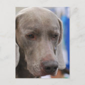 Briefkaart verticale Sjabloon - Gepersonaliseerd (Voorkant)