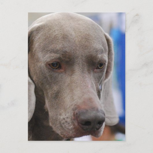 Briefkaart verticale Sjabloon - Gepersonaliseerd (Voorkant)