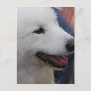 Briefkaart verticale Sjabloon - Gepersonaliseerd