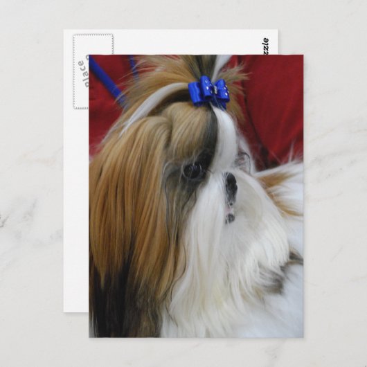 Briefkaart verticale Sjabloon - Gepersonaliseerd (Voorkant / Achterkant)