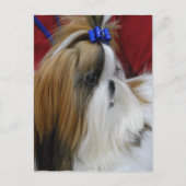 Briefkaart verticale Sjabloon - Gepersonaliseerd (Voorkant)