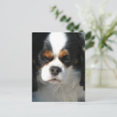 Briefkaart verticale Sjabloon - Gepersonaliseerd (Staand voorkant)