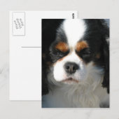 Briefkaart verticale Sjabloon - Gepersonaliseerd (Voorkant / Achterkant)