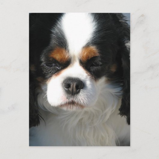 Briefkaart verticale Sjabloon - Gepersonaliseerd (Voorkant)