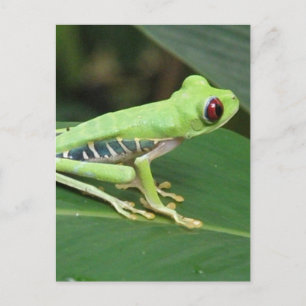 Briefkaart verticale Sjabloon - Gepersonaliseerd