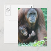 Briefkaart verticale Sjabloon - Gepersonaliseerd (Voorkant / Achterkant)