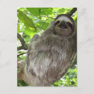 Briefkaart verticale Sjabloon - Gepersonaliseerd