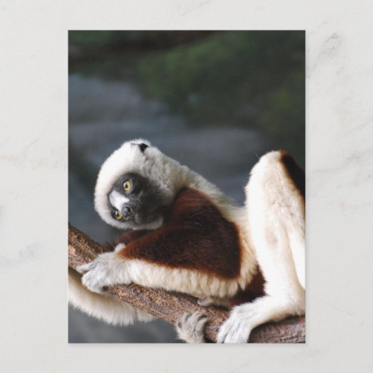 Briefkaart verticale Sjabloon - Gepersonaliseerd (Voorkant)