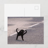 Briefkaart Vervloekte Cat Meme (Voorkant / Achterkant)