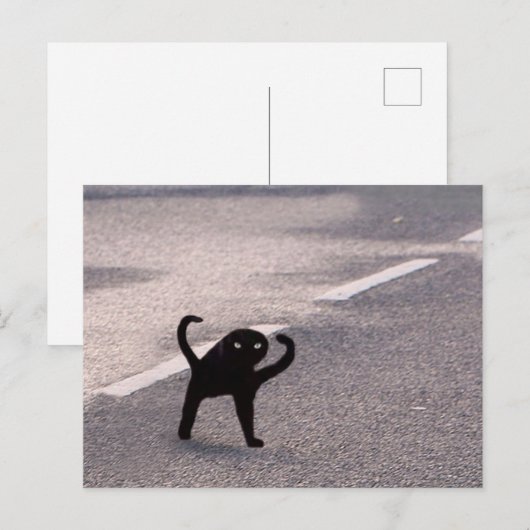 Briefkaart Vervloekte Cat Meme (Voorkant / Achterkant)