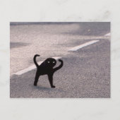 Briefkaart Vervloekte Cat Meme (Voorkant)