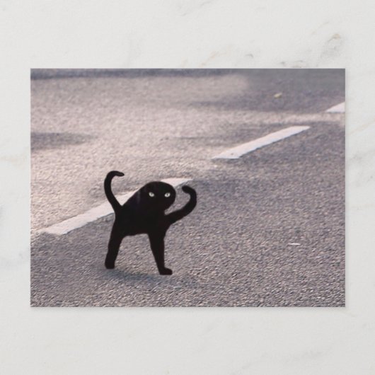 Briefkaart Vervloekte Cat Meme (Voorkant)