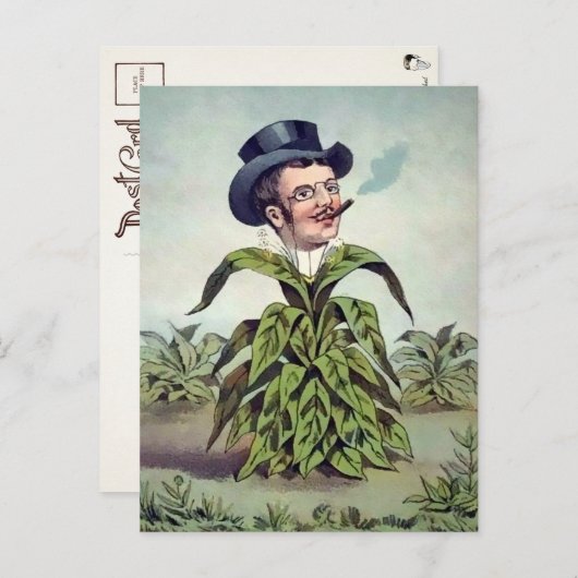 Briefkaart Victoriaans Plant Man (Voorkant / Achterkant)