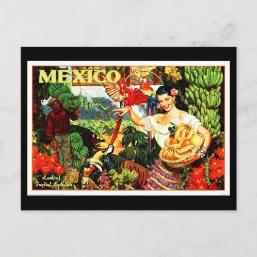 Briefkaart-VIntage Travel-Mexico 2 Briefkaart (Voorkant)