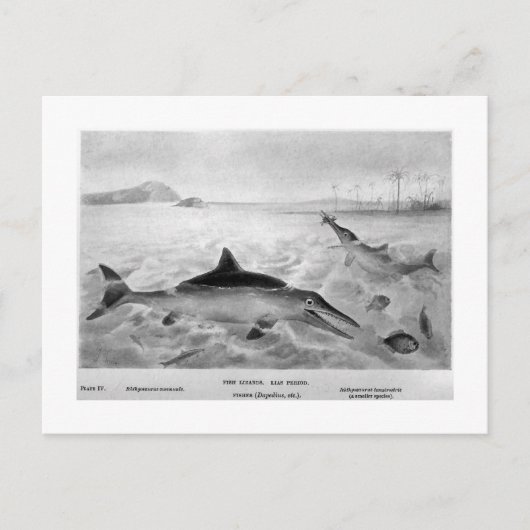 Briefkaart visharedissen (Voorkant)