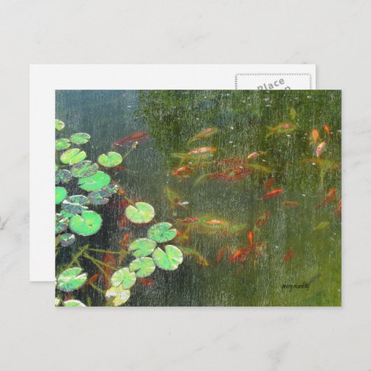 Briefkaart visvijver (Voorkant / Achterkant)