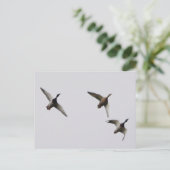 Briefkaart vliegende eenden  (Staand voorkant)