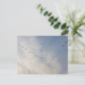 Briefkaart vliegende vogels (Staand voorkant)