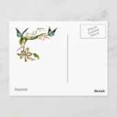 Briefkaart  Vlinders Blauwgroen (Achterkant)