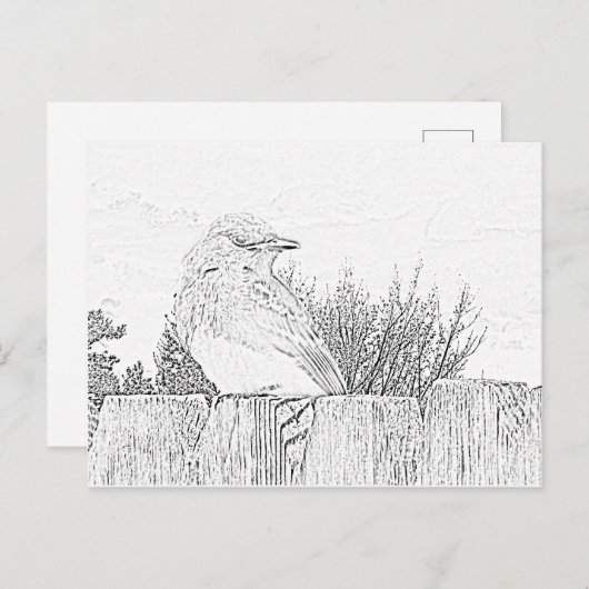 Briefkaart - Vogel op hek naar kleur (Voorkant / Achterkant)