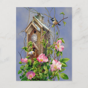 Briefkaart vogelhuis