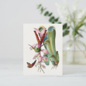 Briefkaart  vogelillustratie (Staand voorkant)