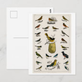  BRIEFKAART VOGELS (Voorkant / Achterkant)