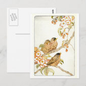  Briefkaart vogels (Voorkant / Achterkant)