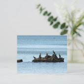 Briefkaart vogels (Staand voorkant)