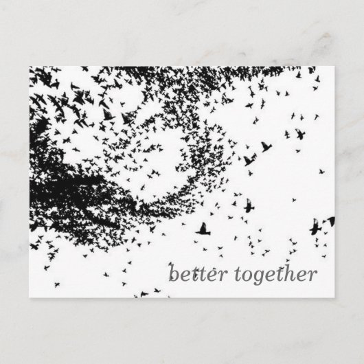 Briefkaart vogels (Voorkant)