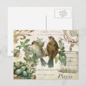  briefkaart vogelstand (Voorkant / Achterkant)