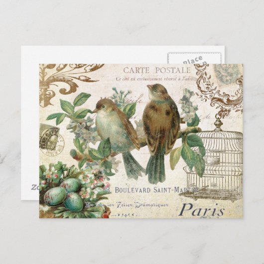 briefkaart vogelstand (Voorkant / Achterkant)