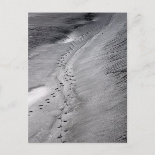 briefkaart volgen (Voorkant)