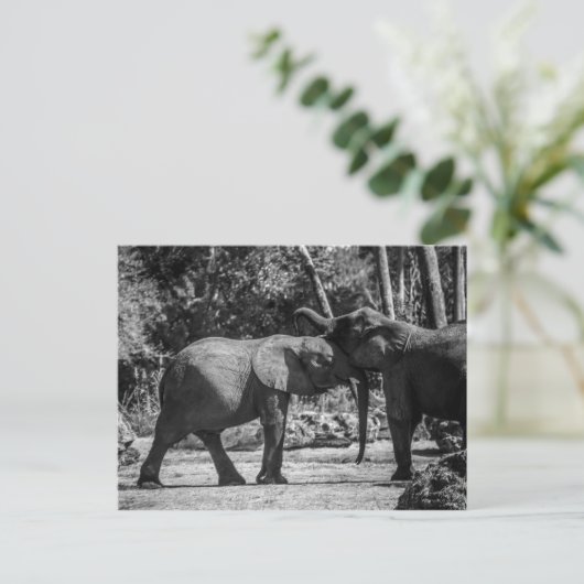 Briefkaart voor afspeelbare elephants (Staand voorkant)